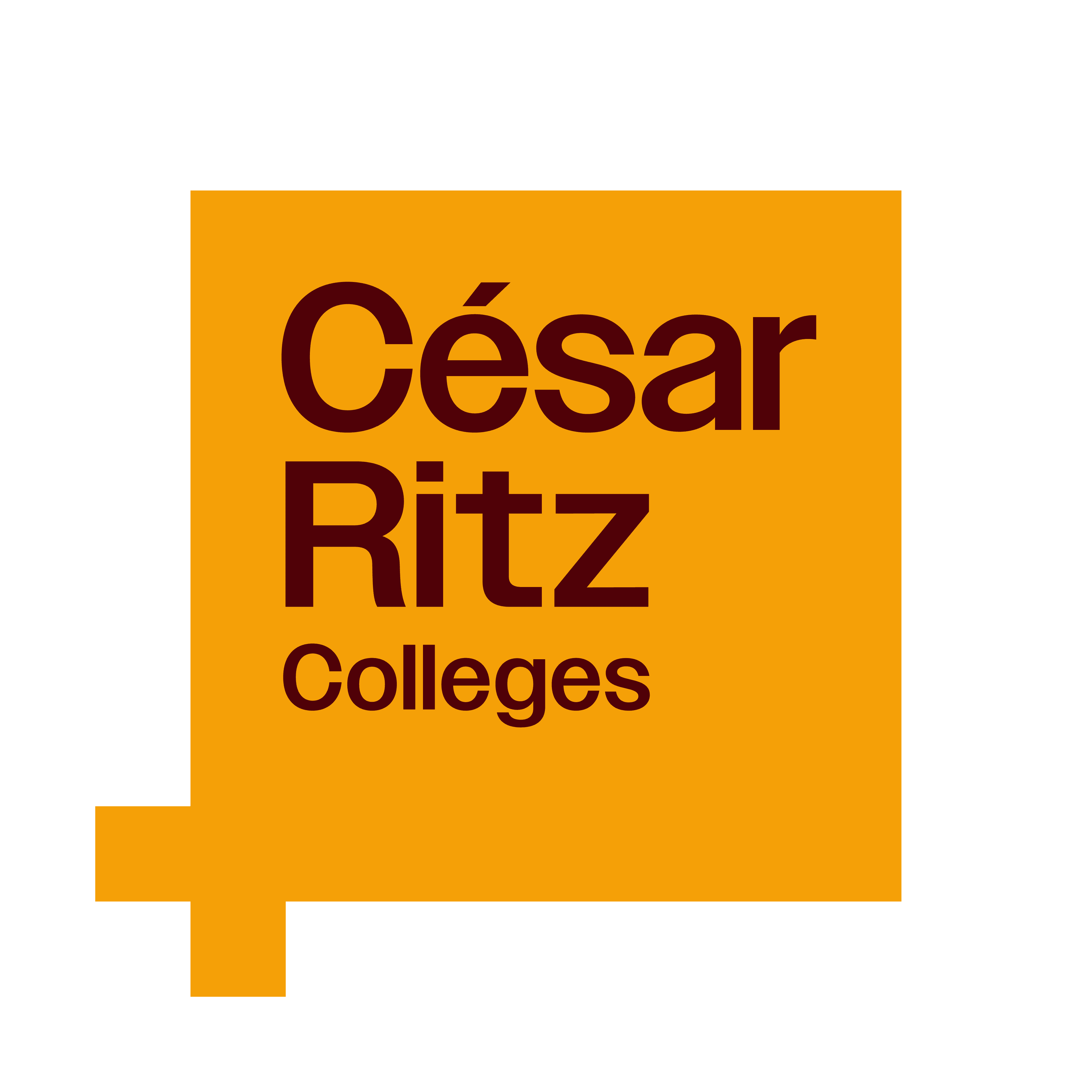 Culinary Chef Instructor
