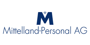 Mechatroniker / Automatiker Entwicklung und Testing (w/m/d) 100%