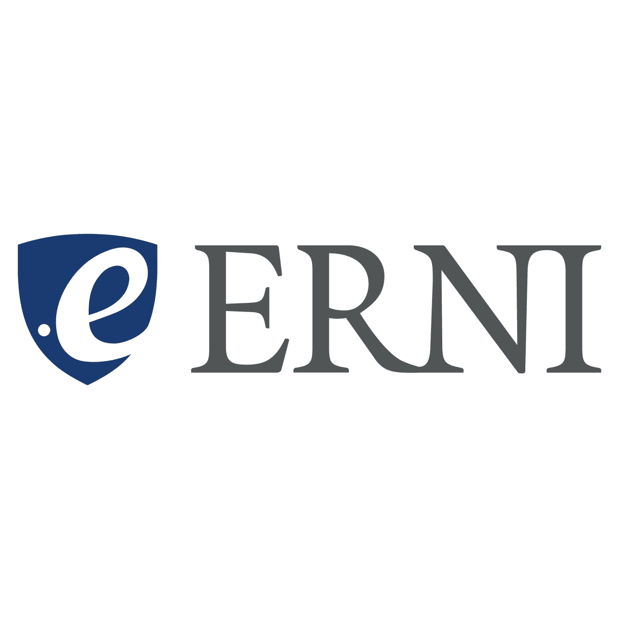 Senior Fullstack Engineer (C#, Angular, Python) (a)