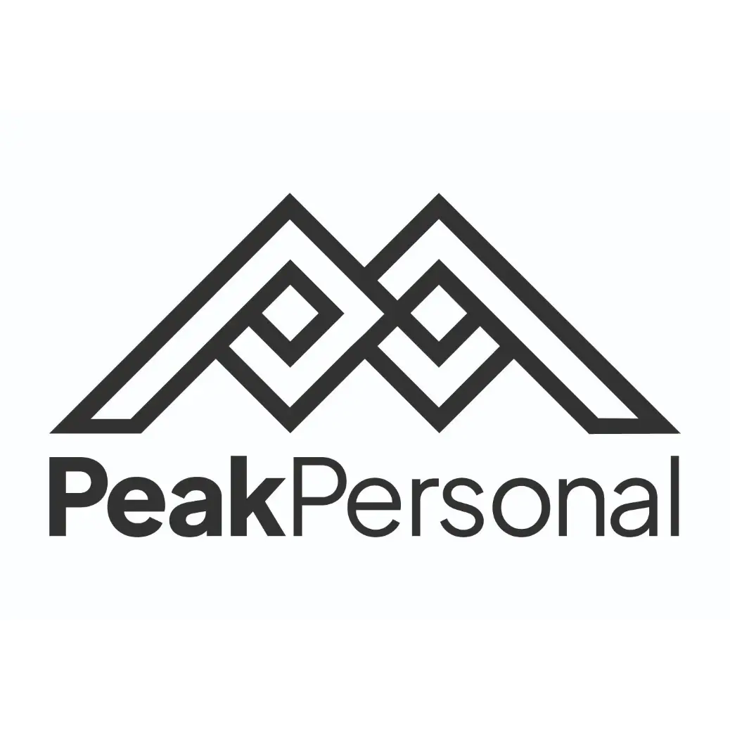 PMO & Project Controlling Lead