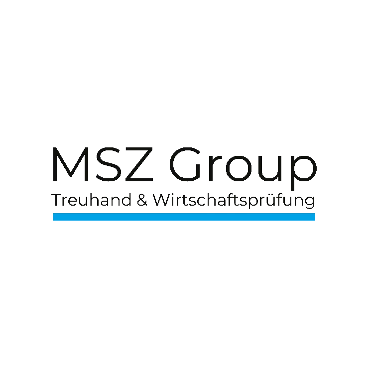 Audit Assistant