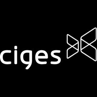 Chef-fe de projet senior