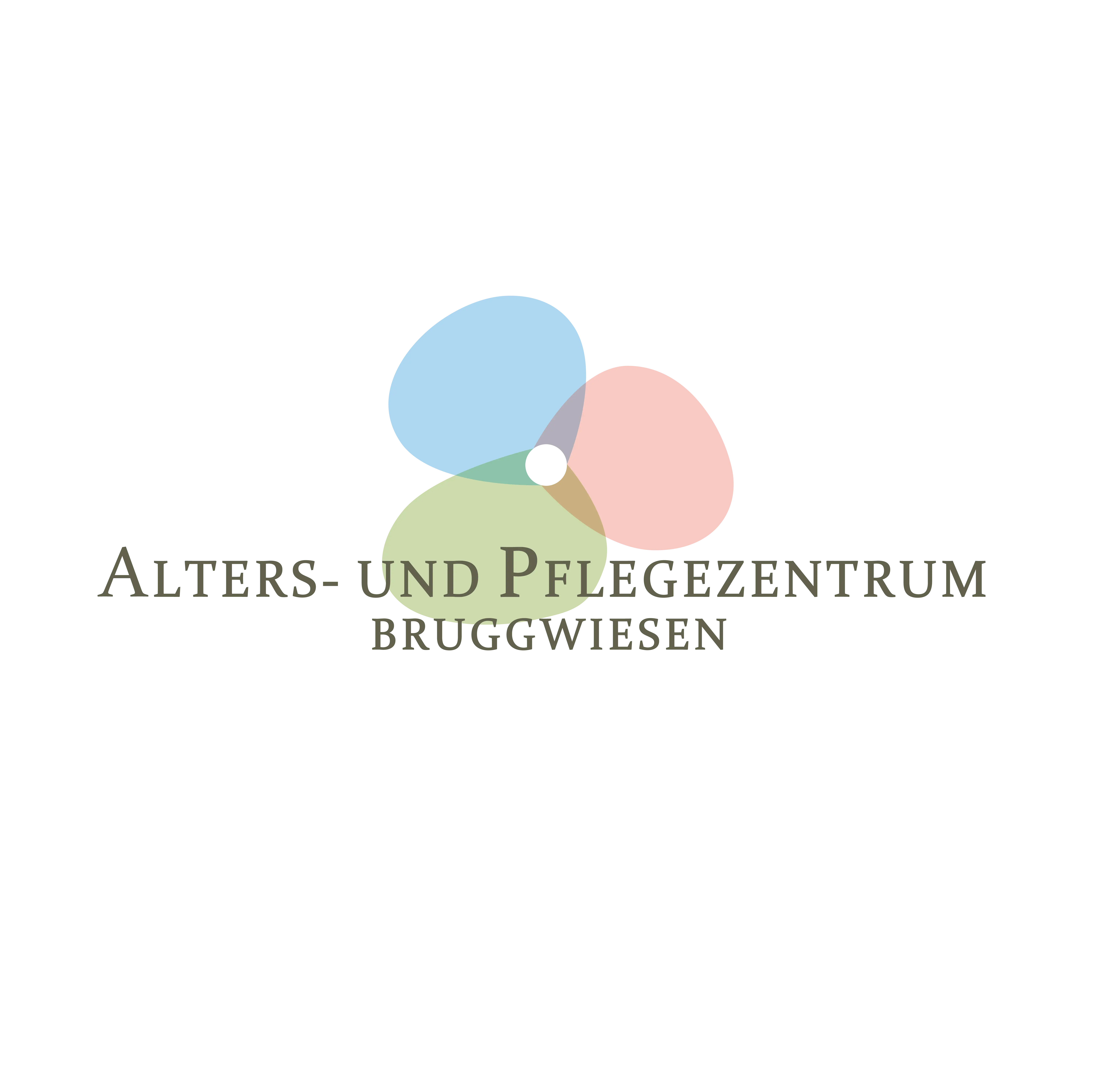 Pflegeassistentin oder Assistentin Gesundheit & Soziales 50 % - 100 % (a) im Nachtdienst
