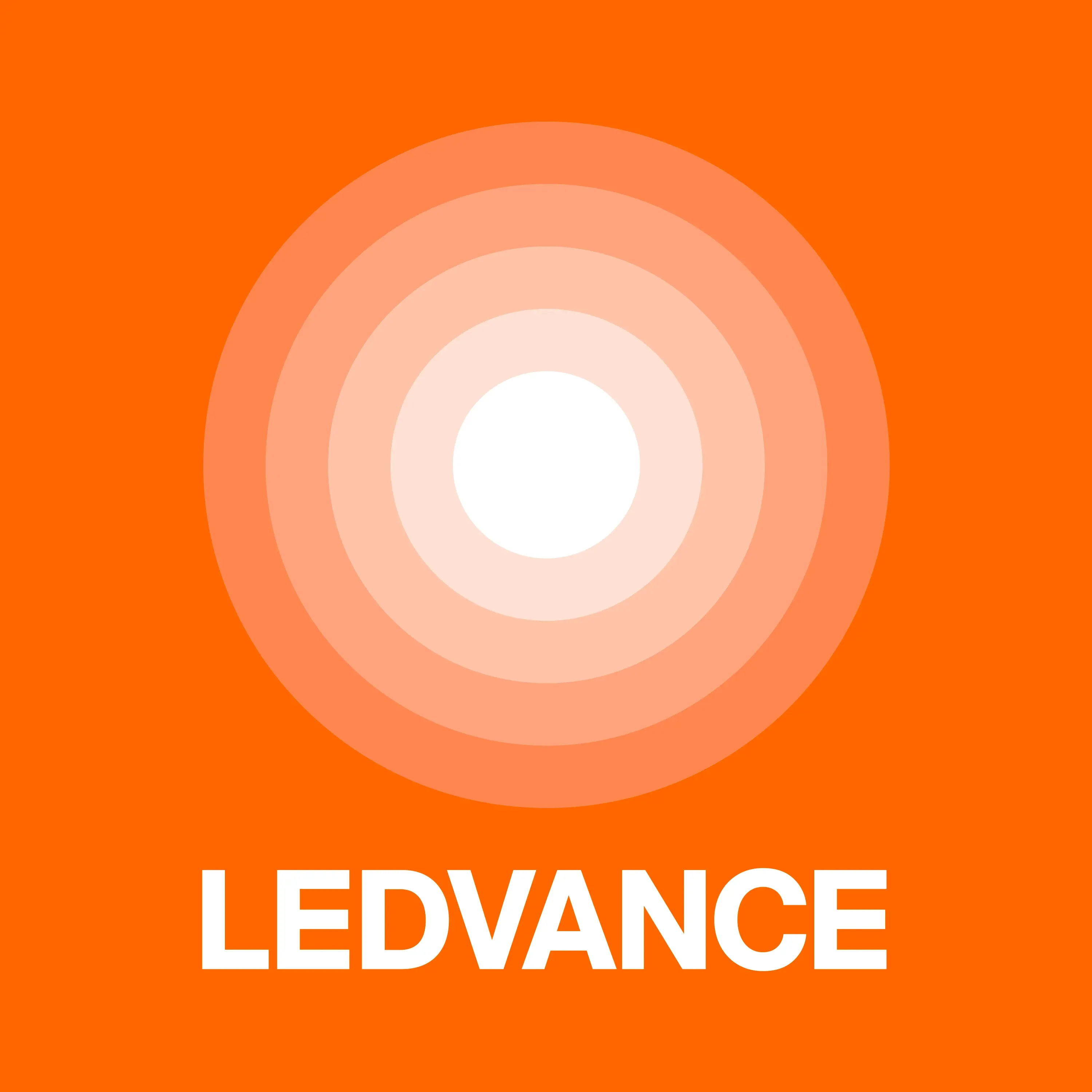 TECHNICAL SALES & CUSTOMER SUPPORT LICHT 100% (M/W/D)