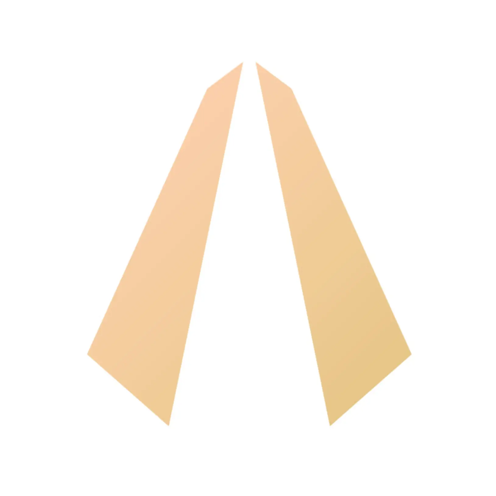 Key Account Manager mit Projektleitung 100% (m/w/d)