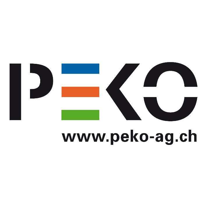 Lead System Technician für Schienenfahrzeuge (m/w/d)