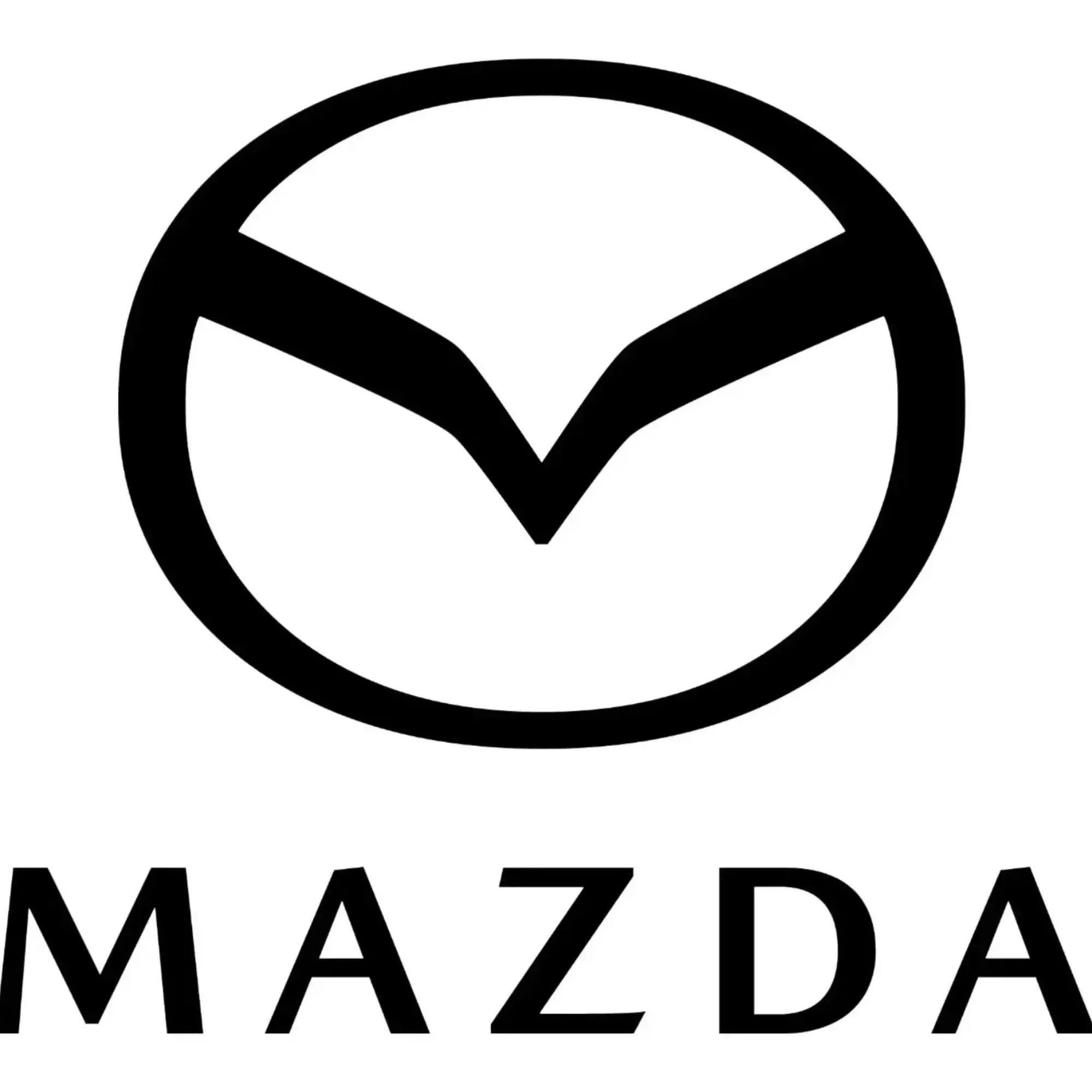 Technical Trainer & Dealer Support Expert - (M/W) (80% - 100%)