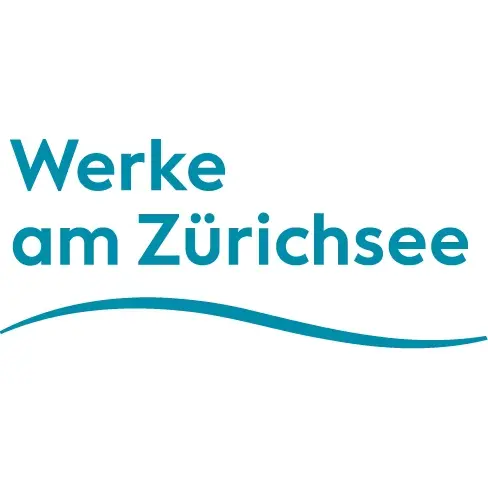 Netzelektriker/in