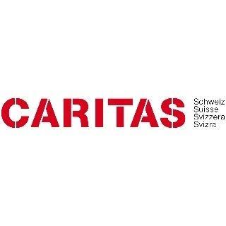 Administrateur d'applications métier / Généraliste informatique (Application Manager) (h/f/d) 80-100% CDD de 15 mois