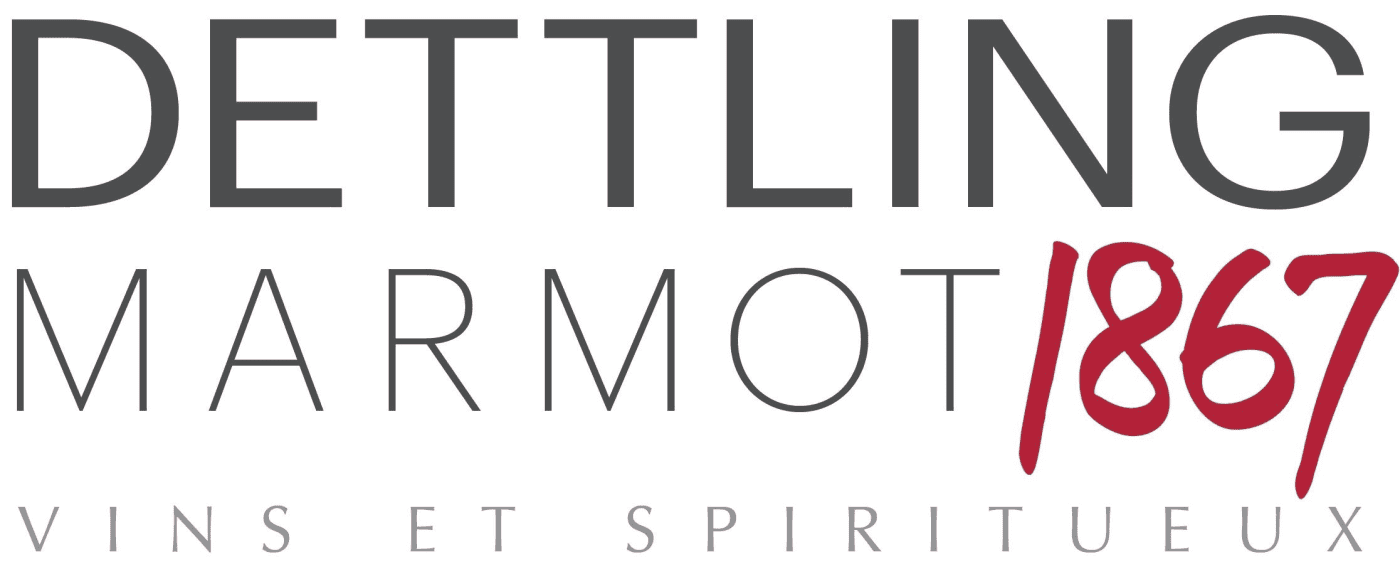 Dettling & Marmot AG