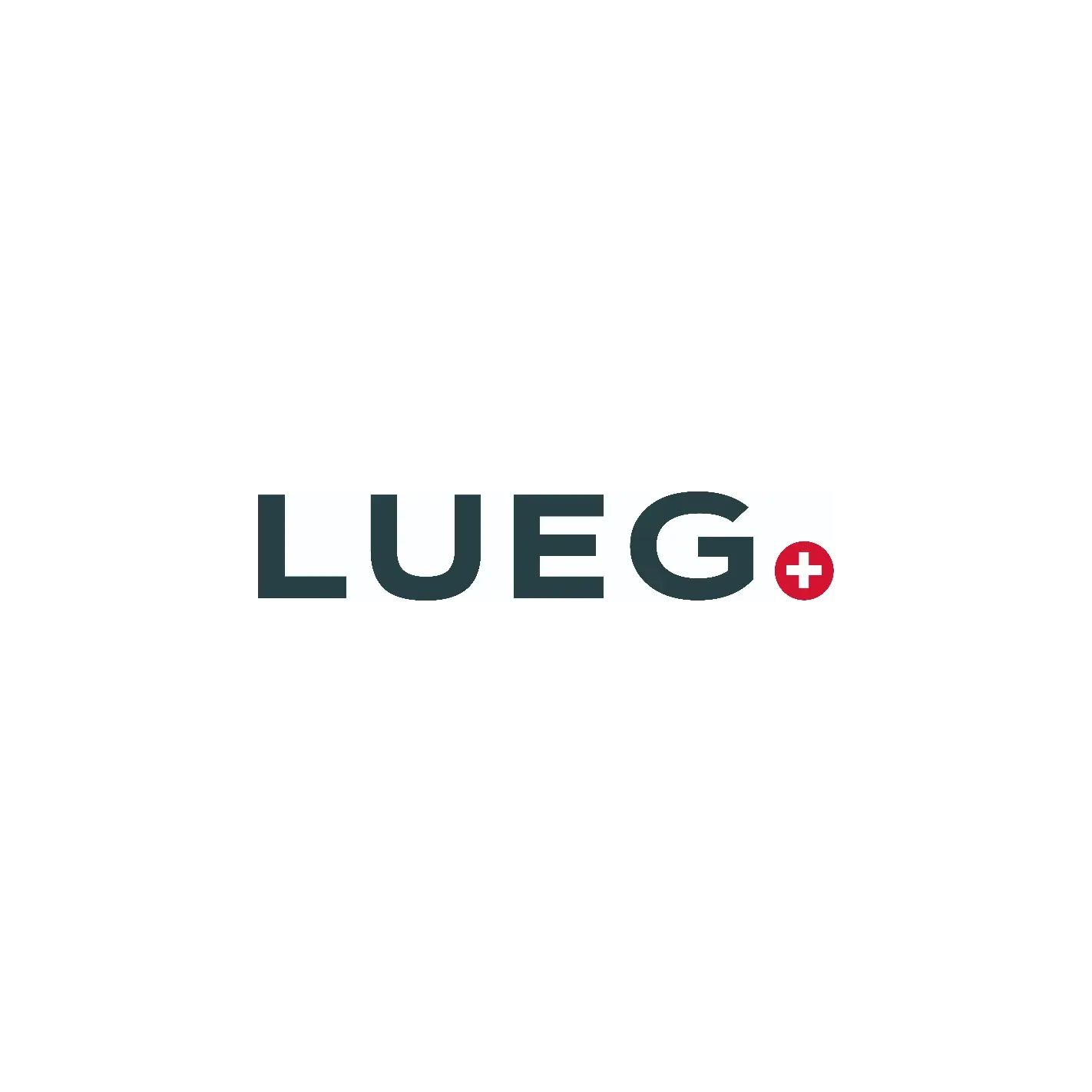 LUEG AG