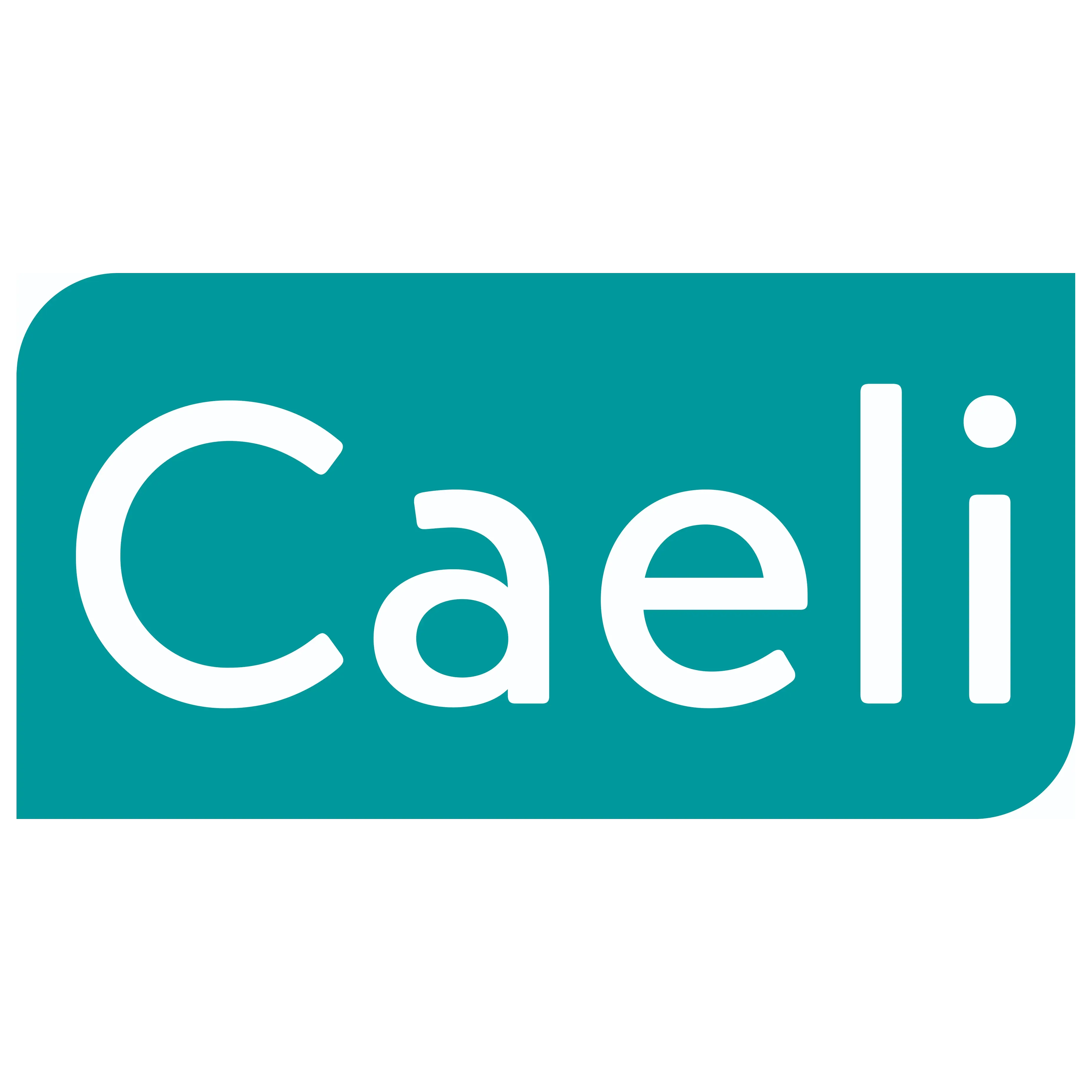 Caeli ingénierie SA