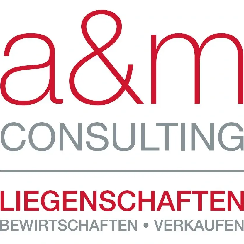 A & M Consulting GmbH
