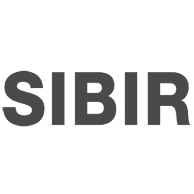 SIBIRGroup AG